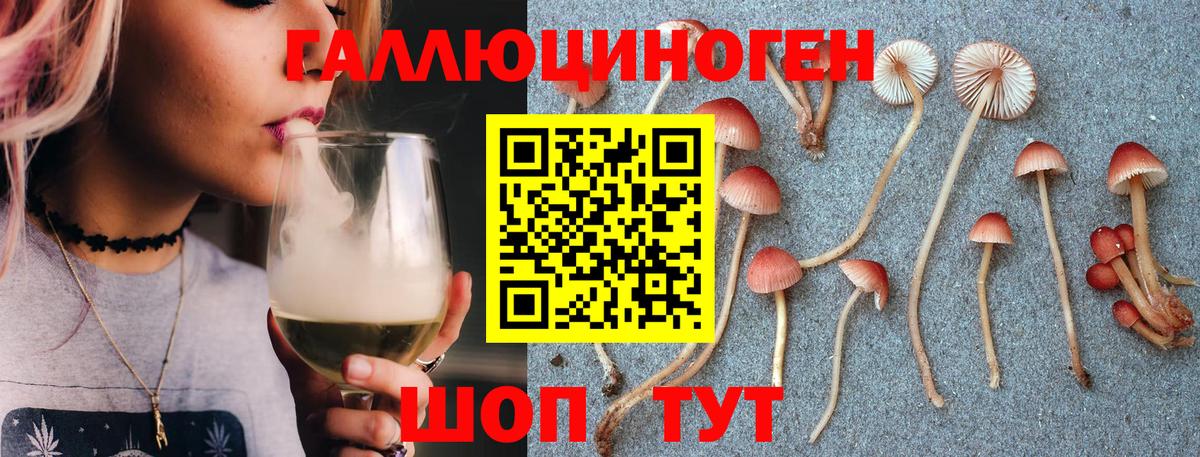 Галлюциногенные грибы GOLDEN TEACHER Белогорск