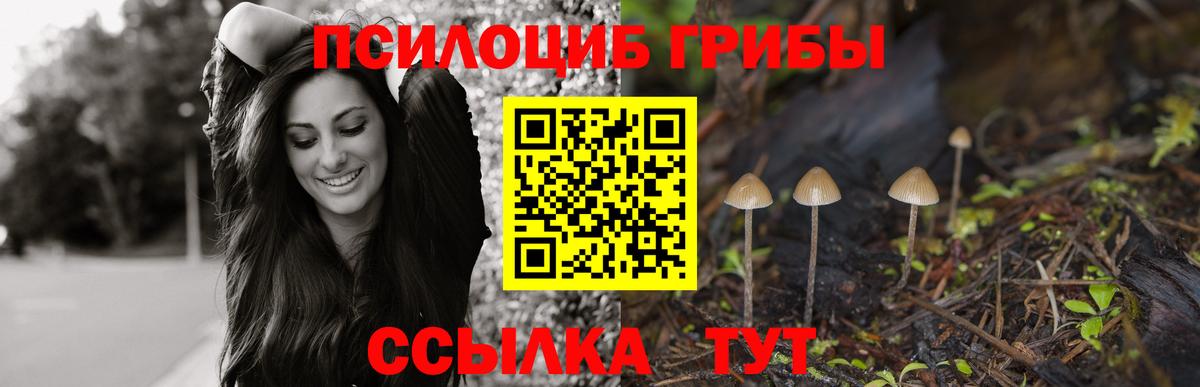 Псилоцибиновые грибы Psilocybe  Псилоцибиновые грибы ЛСД  Белогорск  Вход с VPN 
